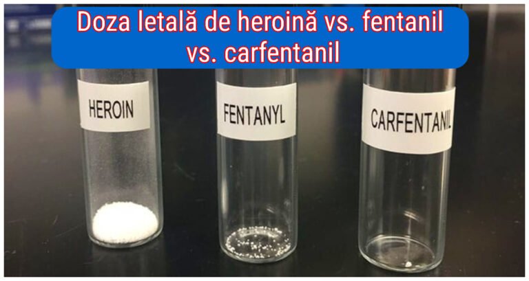 20 de comparații impresionante pe care trebuie să le vezi cât mai curând posibil