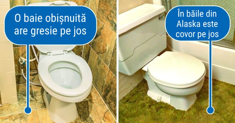 16 imagini care dovedesc că viața în Alaska este o ilustrație pentru filmul „Supraviețuitorul”