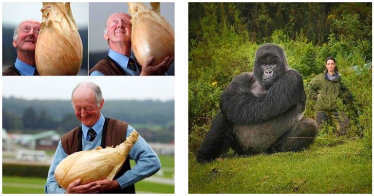 16 fotografii cu lucruri unice pe care oamenii au decis să le publice pe internet