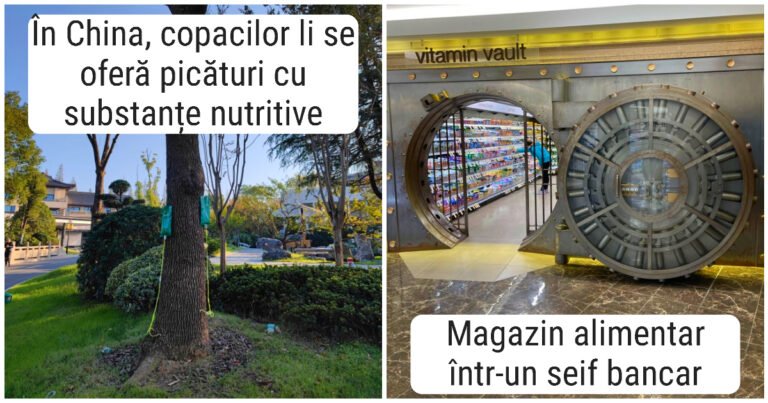 17 lucruri și fenomene pe care majoritatea oamenilor le vor vedea pentru prima dată în viața lor