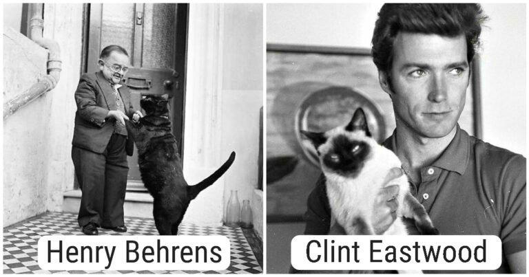 19 fotografii de epocă ale unei jurnaliste, cu oameni celebri și pisicile lor