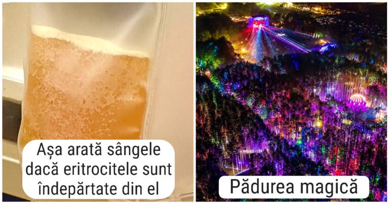 20 de fotografii cu ajutorul cărora veți descoperi câteva fețe noi ale lumii noastre