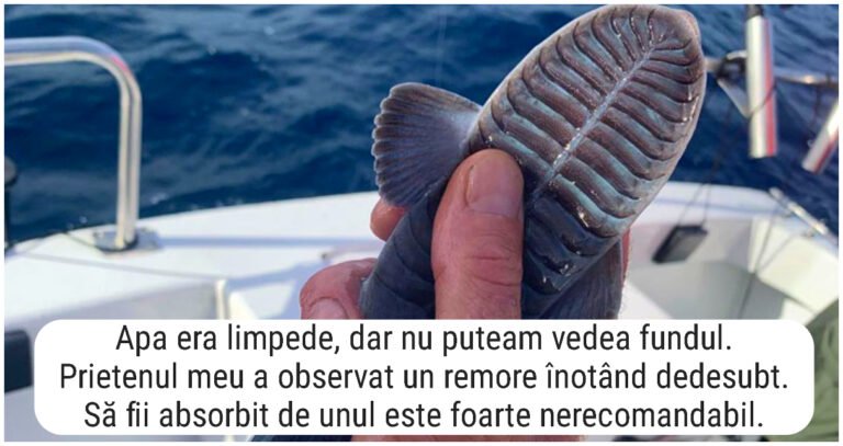 19 dintre cele mai înfiorătoare și ciudate lucruri pe care oamenii le-au găsit în ocean