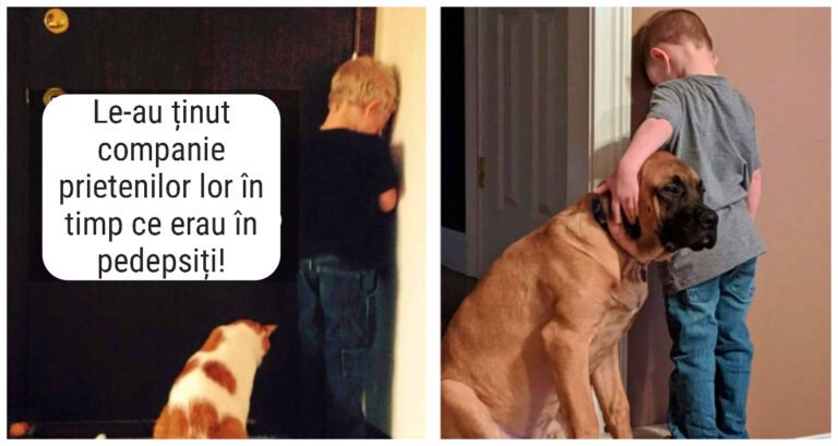18 fotografii care dovedesc că animalele de companie și copiii sunt cei mai buni aliați atunci când vine vorba de a te încurca