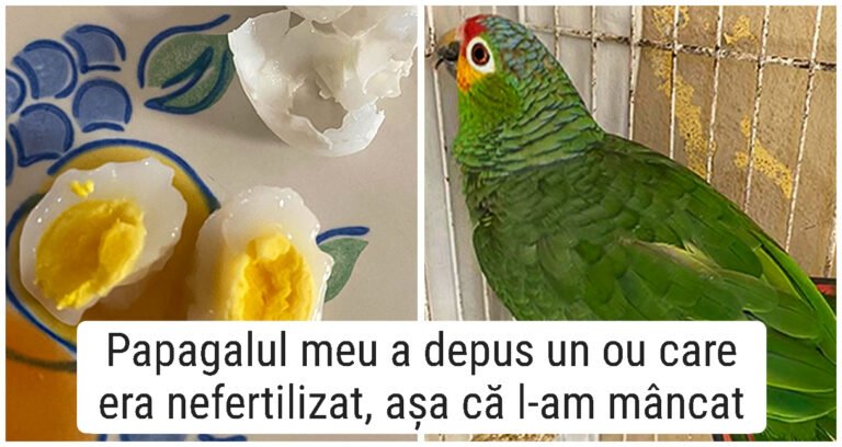 16 Oameni care au avut norocul să vadă partea ascunsă a lucrurilor