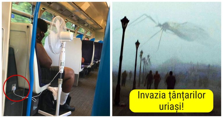 19 imagini care ne arată cât de bizare pot fi lucrurile în viața de zi cu zi