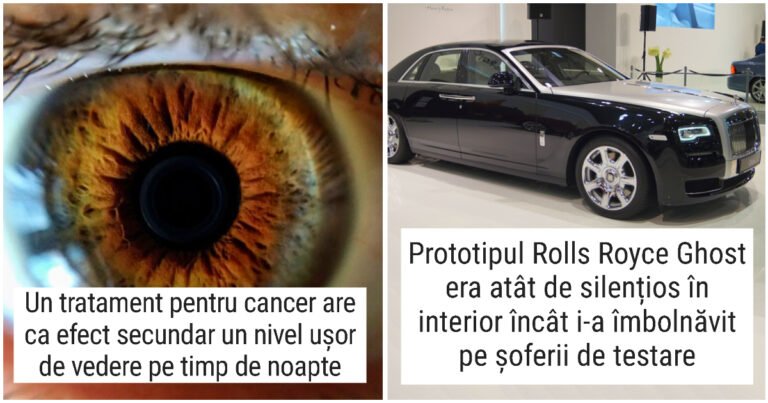 20 de imagini care demonstrează că niciodată nu este prea târziu pentru a învăța ceva nou