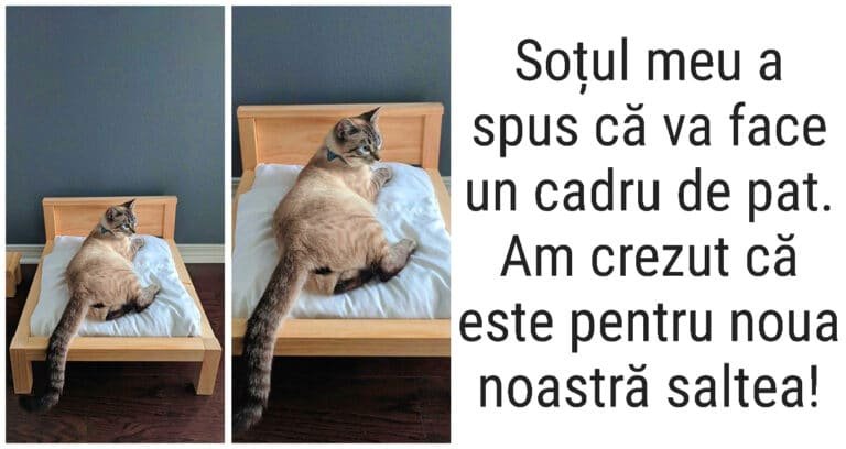 17 oameni a căror super-putere secretă este să-i facă pe alții să râdă