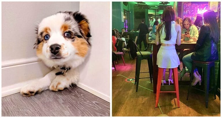 18 fotografii uluitoare pe care îți va lua mai mult de un minut să le înțelegi