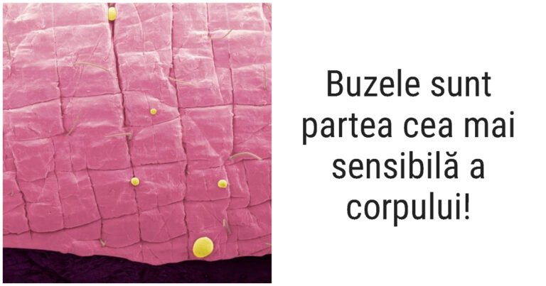 16 Caracteristici ale corpului uman pe care nici măcar unii medici nu le cunosc
