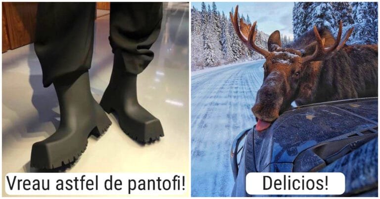 15 fotografii amuzante care îți vor face ziua mult mai bună