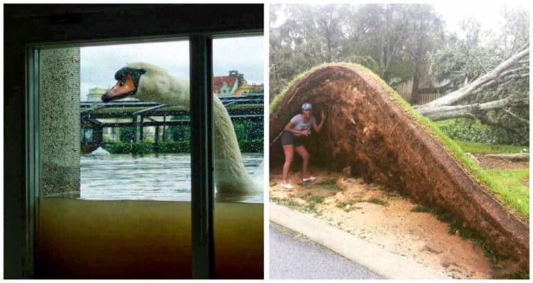 16 cazuri în care vremea a decis să reamintească oamenilor cine este adevăratul stăpân