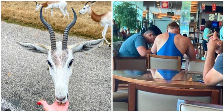 17 fotografii confuze care arată că uneori nu ar trebui să ai încredere nici măcar în proprii tăi ochi