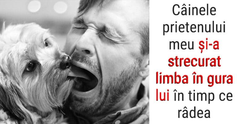 15 oameni care au profitat de un moment perfect pentru a face o fotografie uluitoare