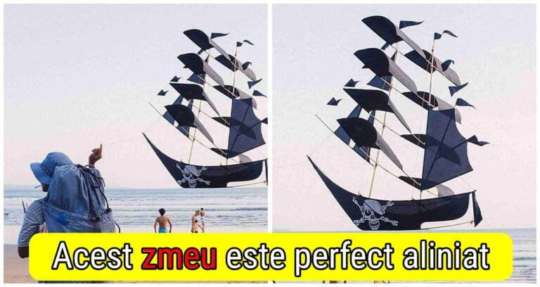 15 poze pe care ar trebui să le privești de mai multe ori pentru a le înțelege