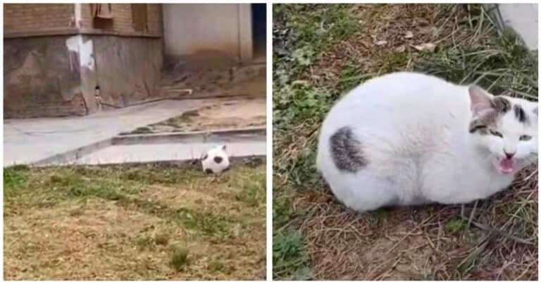 20 de oameni care au ajuns la sentimentul că nu poți avea încredere în ochii tăi în această lume