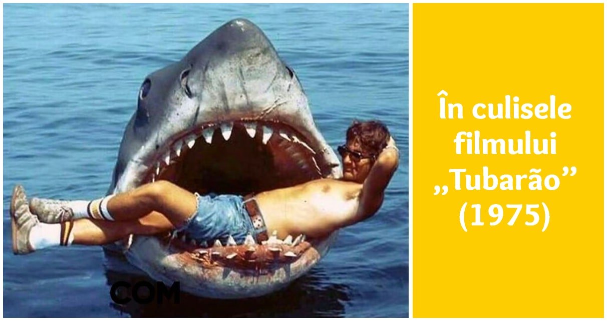 15 imagini perfecte care arată excentricitatea anilor ’70