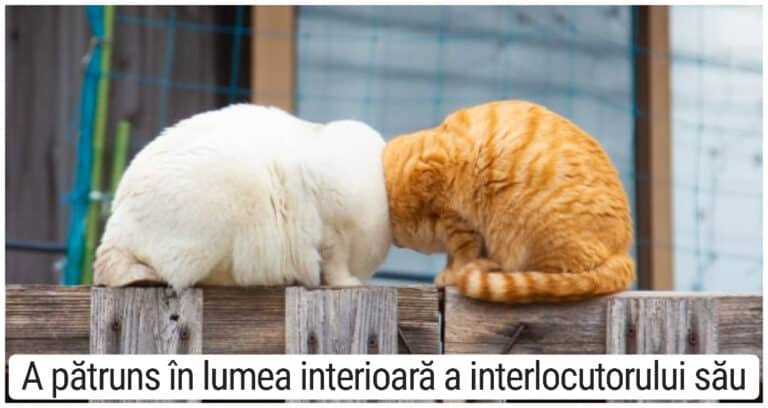 17 fotografii amuzante ale finaliștilor „The Comedy Pet Photography Awards 2022”, care îi vor face să zâmbească chiar și pe cei mai stricți telespectatori