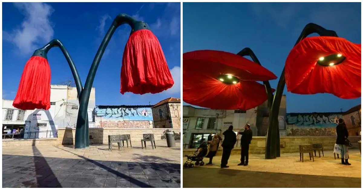 Povestea florilor uriașe din Ierusalim care înfloresc atunci când pietonii trec pe sub ele