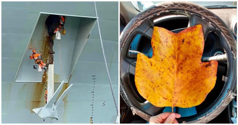 16 comparații interesante care oferă o altă perspectivă asupra lumii