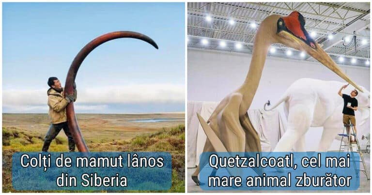 20 de fotografii despre cât de aspră era lumea în urmă cu milioane de ani