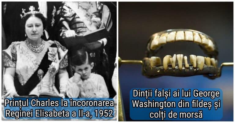 20 de imagini interesante cu lucruri foarte ciudate