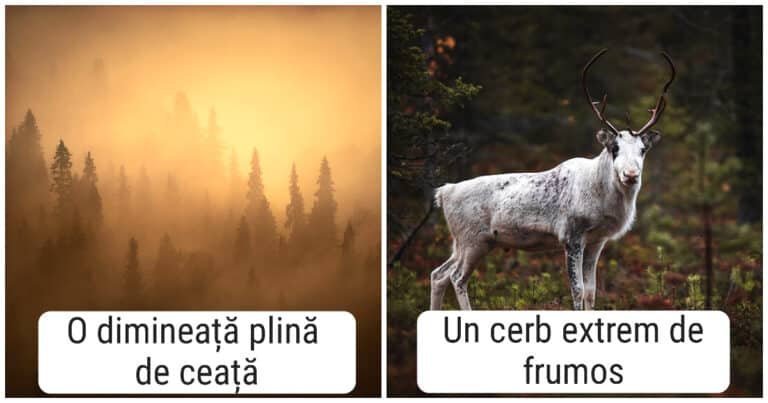 20 de fotografii cu natura uluitoare a Finlandei făcute de un fotograf amator