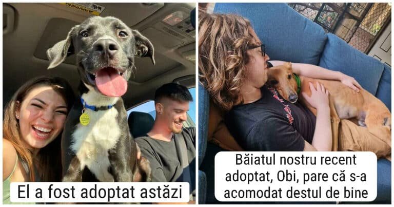 20 de fotografii emoționante cu animale de companie adoptate în această lună