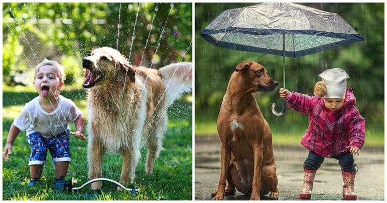 După ce vei vedea aceste fotografii, sigur vei dori și tu un animăluț de companie pentru copilul tău!