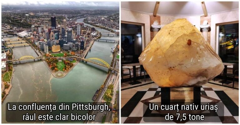 20 de lucruri ciudate și surprinzătoare din întreaga lume pe care oamenii au vrut să le împărtășească pe internet