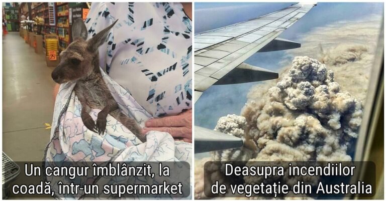 20 de imagini pline de culoare pe care le poți întâlni doar în Australia