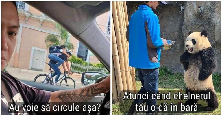 15 momente amuzante pe care va fi foarte greu să le uiți